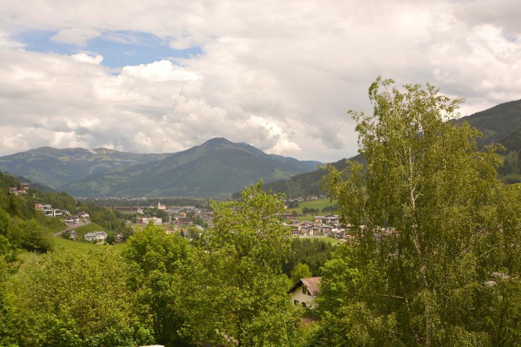Sheps In Kaprun